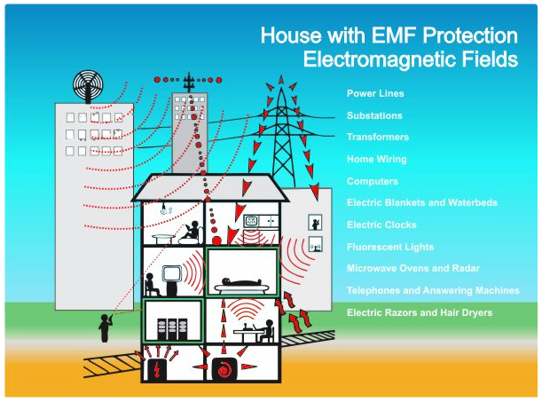 Electromagnetic Bubble Protector (EBP) for House, designed to harmonize indoor and outdoor spaces by reducing electromagnetic and geopathic interferences.