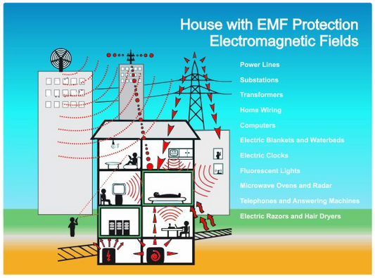 Electromagnetic Bubble Protector (EBP) for House,  designed to harmonize indoor and outdoor spaces by reducing electromagnetic and geopathic interferences.