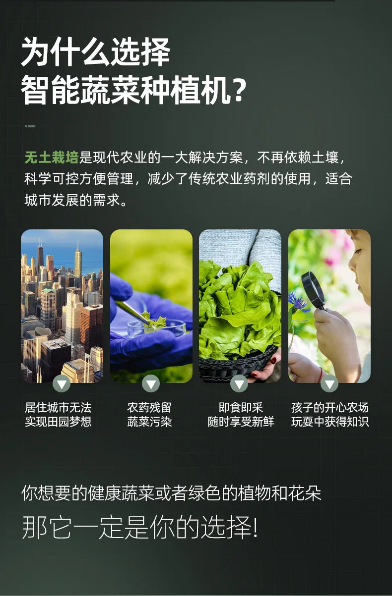 Space Tree Hydroponic Tower for Rooftop Balcony Vertical Soilless Cultivation Veg Growing Box