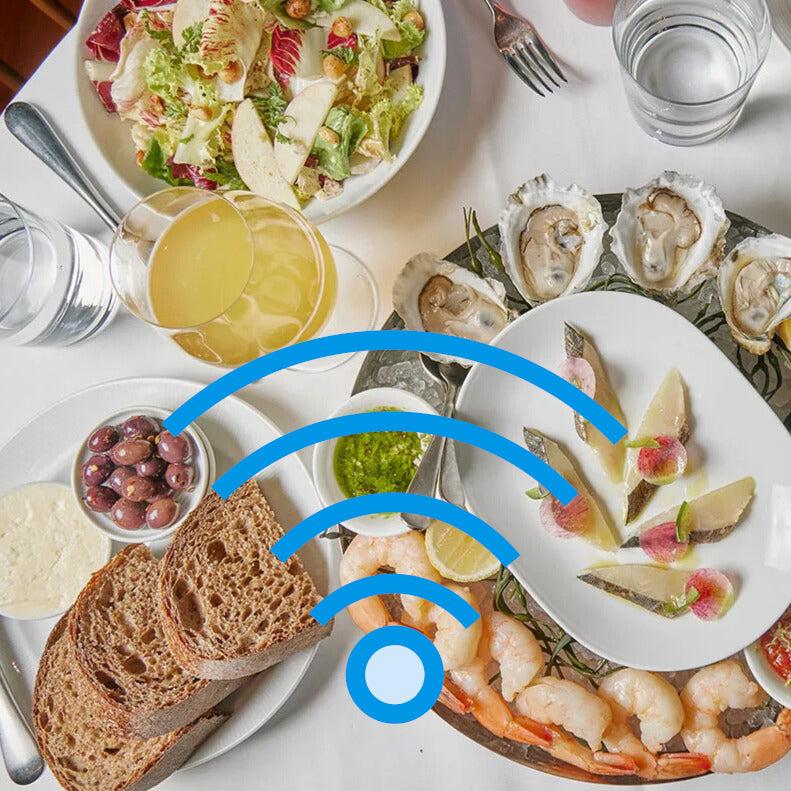 Wifi for Water: Transform your home’s and pool water into a vital, healing force that boosts immunity and dissolves limescale effortlessly — without chemicals, electricity.