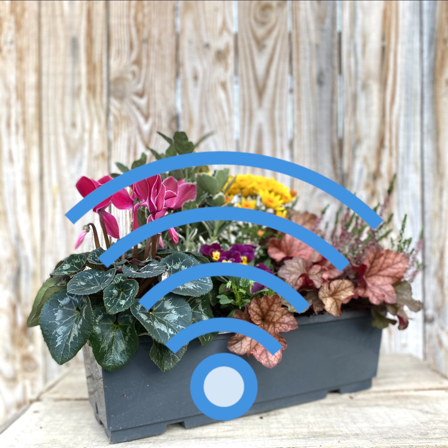 Wifi for Water: Transform your home’s and pool water into a vital, healing force that boosts immunity and dissolves limescale effortlessly — without chemicals, electricity.